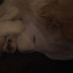 Meet your Posher, Wendy